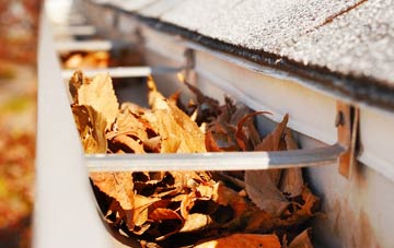 Rosemergy gutter cleaning companies