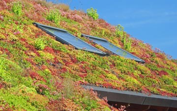Rosemergy living roof systems